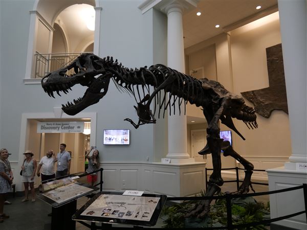 Mayborn Museum Complex (7/23/2022 - Credits: Matt Miller)