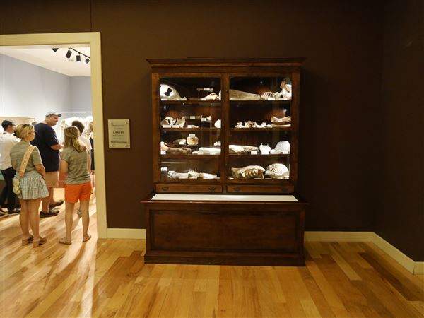 Mayborn Museum Complex (7/23/2022 - Credits: Matt Miller)