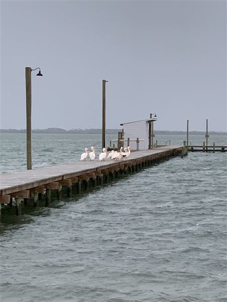The Sanctuary at Rockport (11/18/2022 - Credits: Charlotte Brigham)