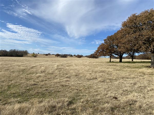 Fairlea Longhorn Ranch (12/7/2022)