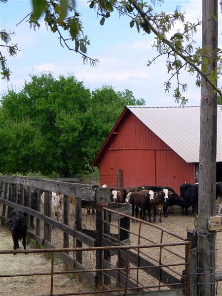Maysel Ranch (4/1/2010)