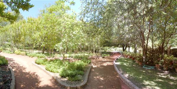 Clark Gardens Botanical Park (5/30/2009)