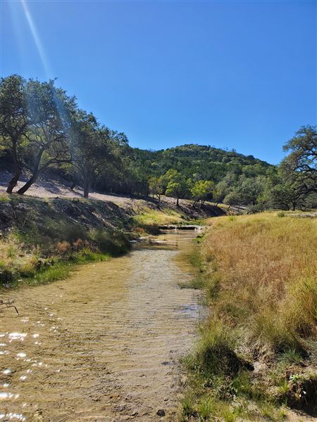 Kestrel Ranch (4/26/2021 - Credits: Kate Marr)