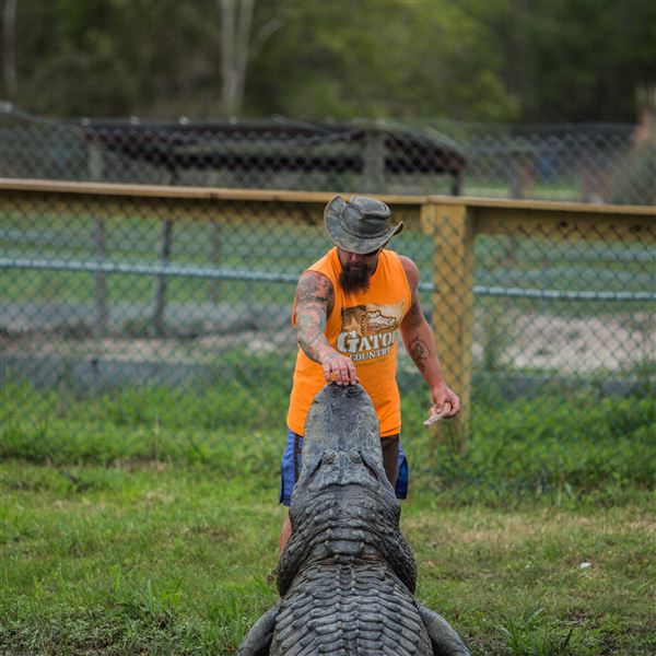 Gator Country (5/17/2023)