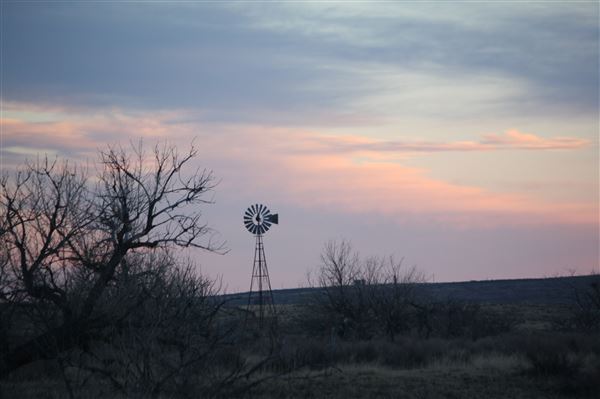 Borger Outskirts (4/30/2022 - Credits: Deidra Thomas; Charles Gillingham)