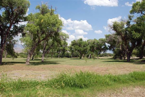 Big Bend National Park - Rio Grande Village (6/12/2010)