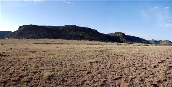 CF Ranch (6/10/2010)