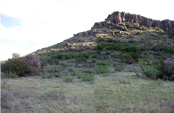 CF Ranch (6/10/2010)