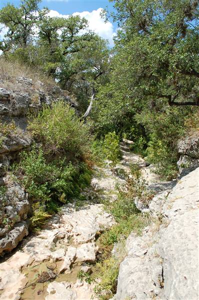 Milton Reimers Ranch County Park (8/25/2010)
