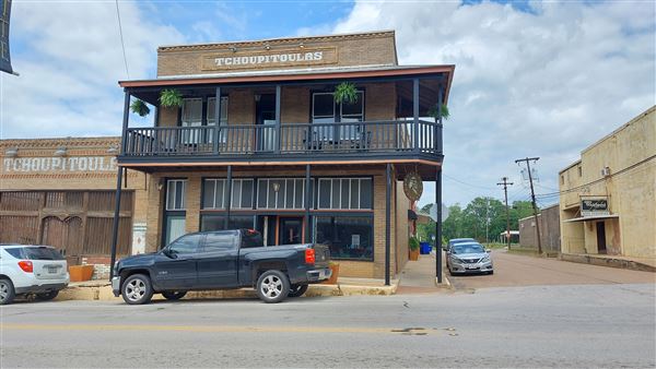 Crockett (6/27/2023 - Credits: Liza Clark)