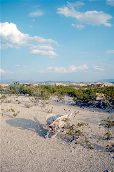 Terlingua Ghost Town (9/20/2010)