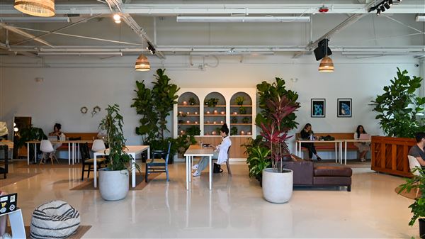 Eden Plant Co. (6/27/2023 - Credits: Houston Film Commission)