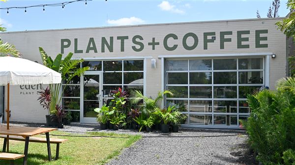 Eden Plant Co. (6/27/2023 - Credits: Houston Film Commission)