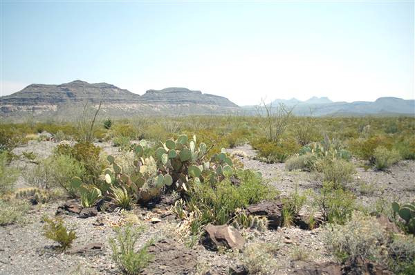 Big Bend Ranch State Park - Vista del Bofecillos (9/23/2010)