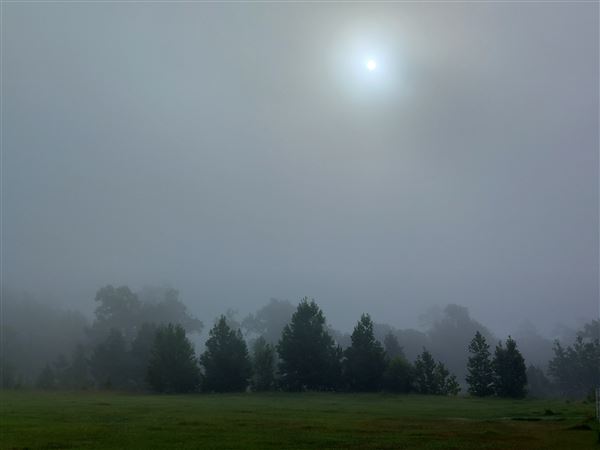 Hidden Meadows Ranch (7/6/2023 - Credits: Liza Clark)