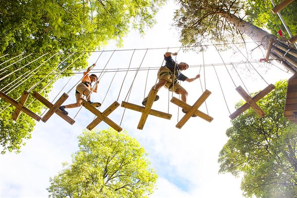 Go Ape Zipline and Adventure Park (5/1/2023 - Credits: Owner)