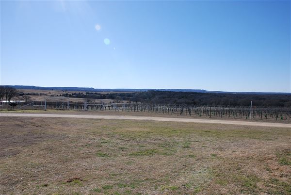 Blue Ostrich Winery & Vineyard (1/27/2023 - Credits: Gabriel Ornelas)
