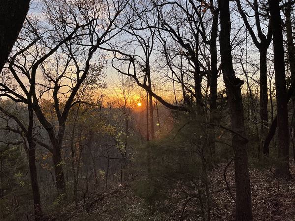 Arkikosa Ranch (10/10/2023 - Credits: submitted by: JODI SIMONS)