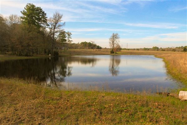 Martinez Ranch (2/26/2024 - Credits: Carl Voskamp & Joe Martinez)