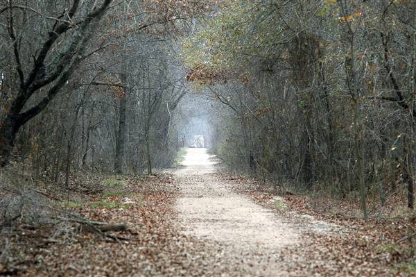 Mineola Nature Preserve (2/11/2009 - Credits: FFTX)