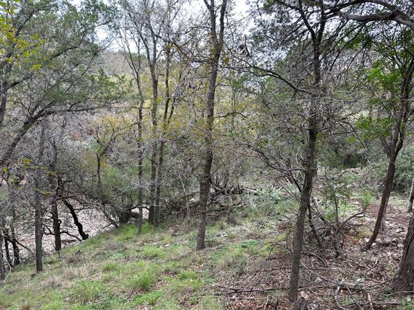 Panther Canyon Nature Trail (3/28/2024 - Credits: Chad Donegan)