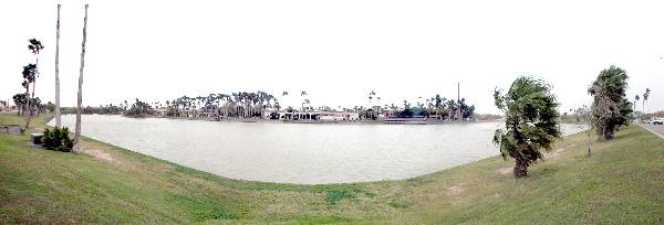 University of Texas at Brownsville (3/4/2004)