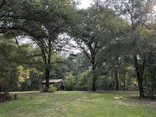 Flournoy Farm (9/24/2024 - Credits: submitted by: Sue Wisdom)