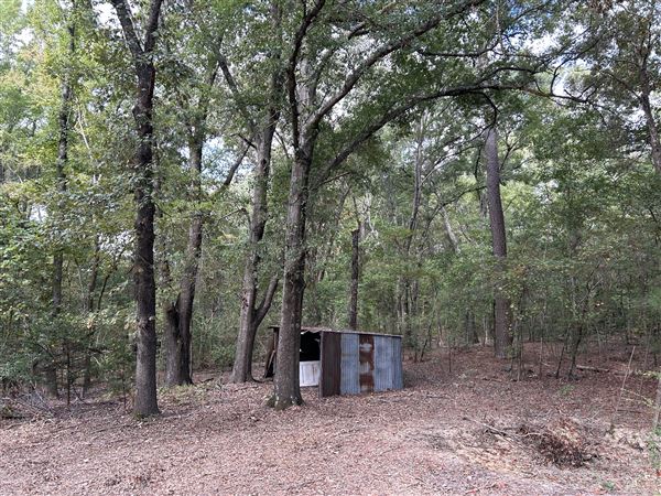 Flournoy Farm (9/24/2024 - Credits: submitted by: Sue Wisdom)