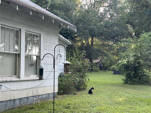 Flournoy Farm (9/24/2024 - Credits: submitted by: Sue Wisdom)