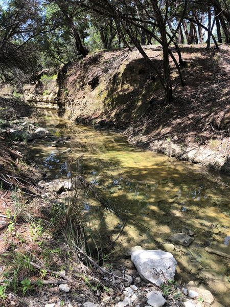 Double T Ranch (9/1/2024 - Credits: David Saidi)