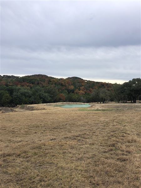 Double T Ranch (9/1/2024 - Credits: David Saidi)