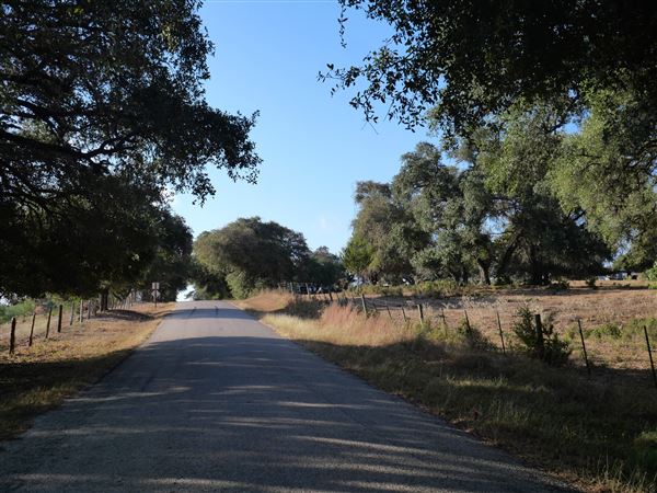 Jones Road (10/29/2024 - Credits: Alex Payne)