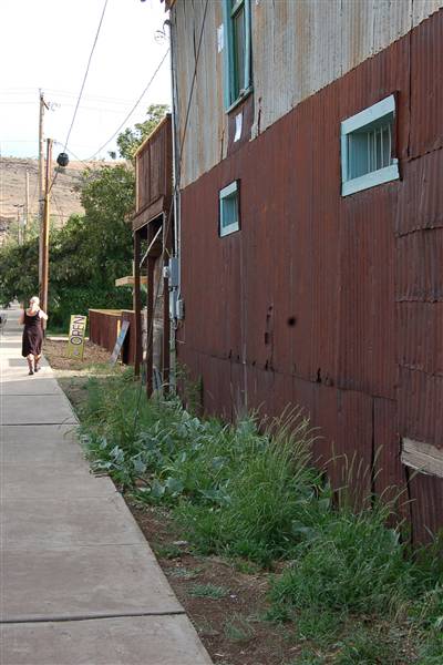 Alpine (9/19/2011)