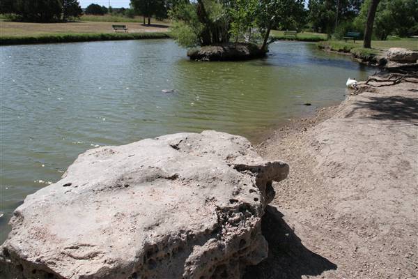 Conder Park (10/25/2011)