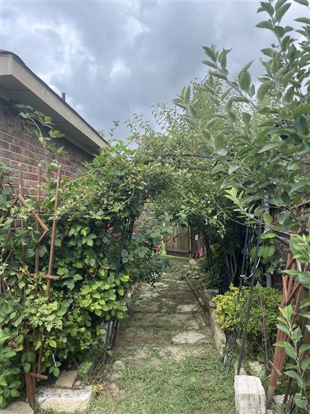 Bermudez House