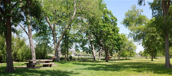 Riverside Park (3/22/2012)