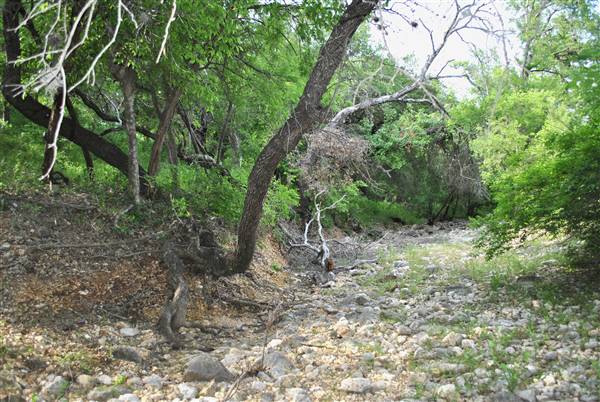 Phil Hardberger Park (4/7/2012)