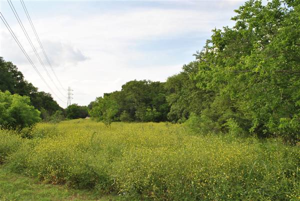 Phil Hardberger Park (4/7/2012)