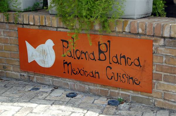 Paloma Blanca (4/3/2012)