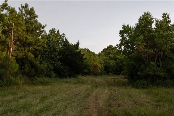 The Oaks of Anahuac (8/8/2025 - Credits: Jeff Fitlow Photography)