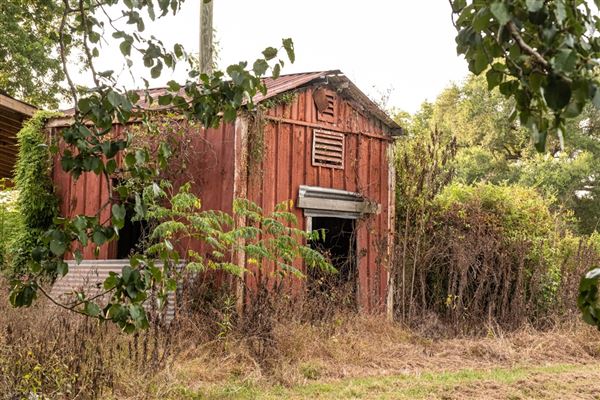 The Oaks of Anahuac (8/8/2025 - Credits: Jeff Fitlow Photography)