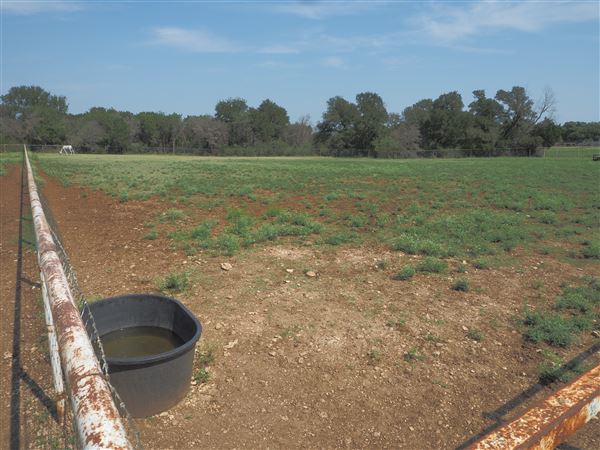 Ramsgate Farms (9/17/2025 - Credits: Matthew Bachofen and Stephen Reynolds)