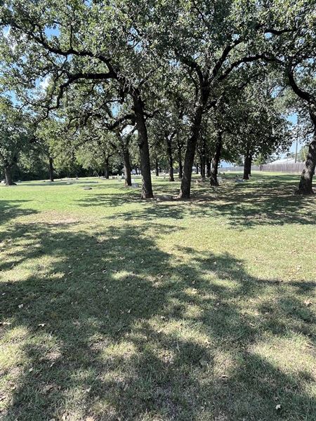 Mount Olive Historic Cemetery (9/25/2025 - Credits: Ashley Thomas)