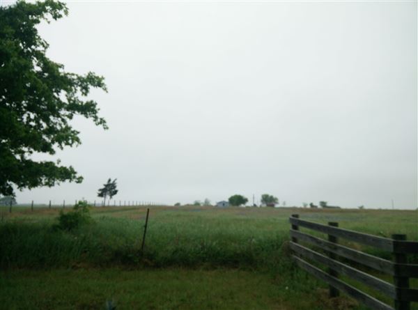 Maeshill Farm (11/25/2025 - Credits: Ann Campbell)