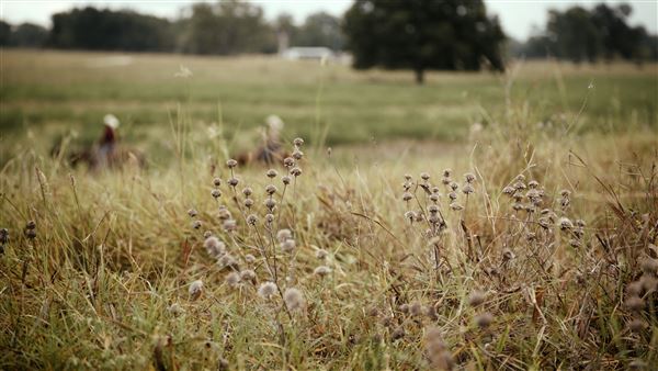 Evans Ranch (9/20/2024 - Credits: submitted by: kate evans)
