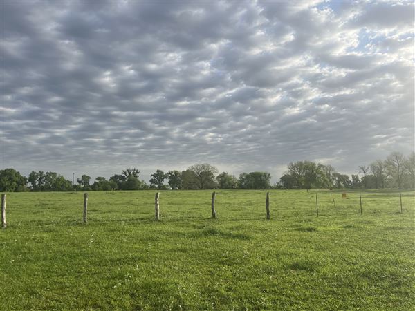 Evans Ranch (9/20/2024 - Credits: submitted by: kate evans)