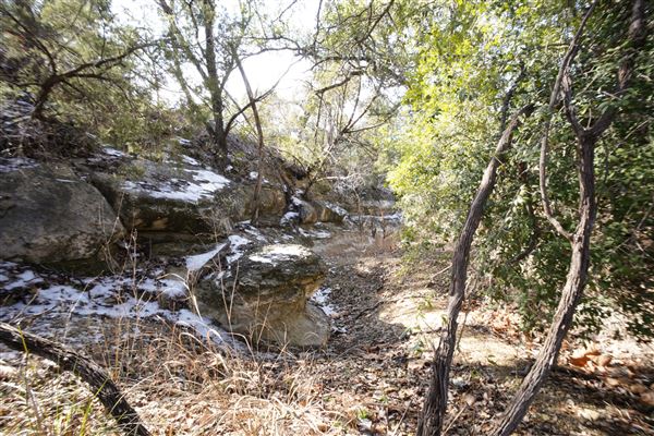 Four Winns Ranch (1/29/2026 - Credits: Jamal Burrell)