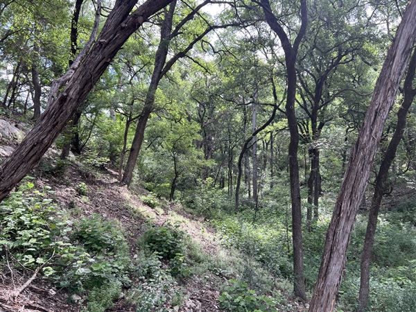 Riva Ridge (2/4/2026 - Credits: submitted by: Sabina  Nugent)
