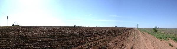 Oil Pump Jacks off Hwy 385 (5/3/2004)