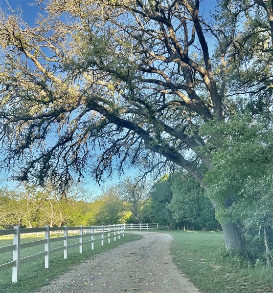 Sky Creek Farm (3/22/2026 - Credits: Quincy DeSpain)
